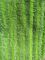 Yeşil Bükülmüş Kat Oxford Kumaş Cep Mikrofiber Islak Paspas Pedleri 14 * 48